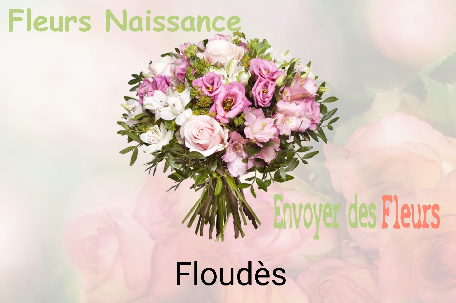Bouquet de fleurs de naissance livré à Floudès